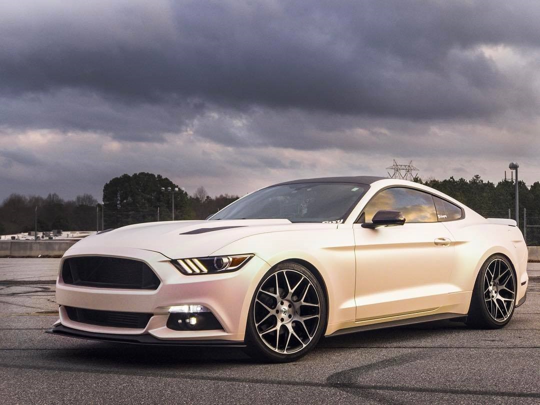 K75552 Aurora Pearl Cast Vehicle Wrap (2)