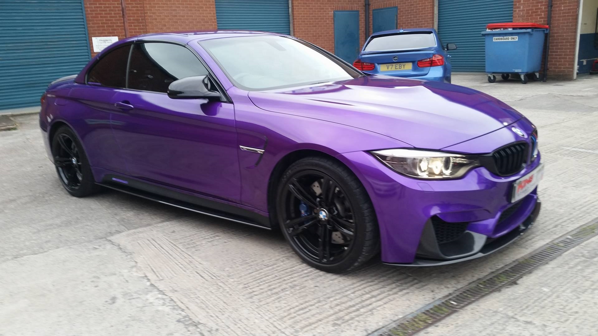 K75468 Imperial Orchid (2)