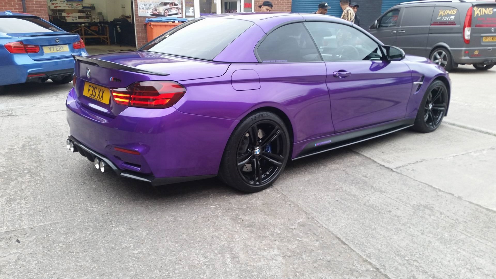 K75468 Imperial Orchid (4)