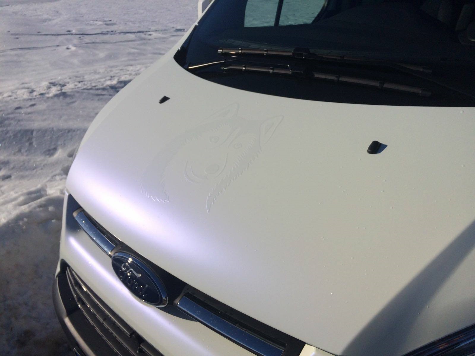 K75584 Matt Blue White Pearlescent Cast (12)